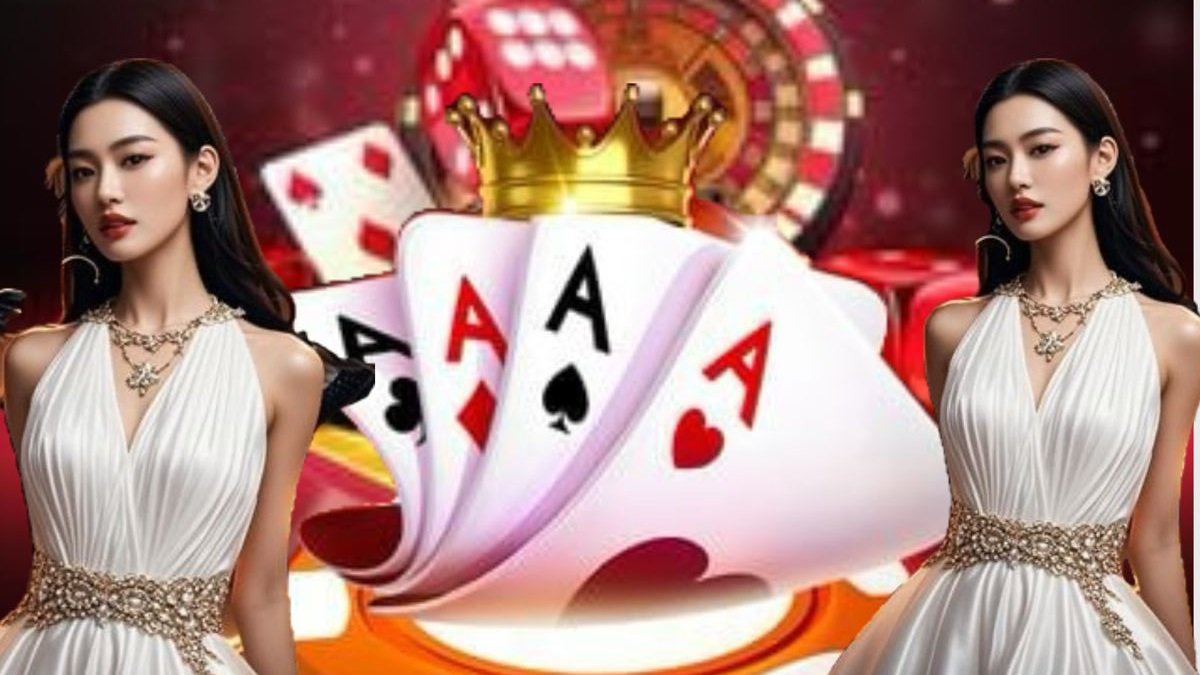 bet tigre